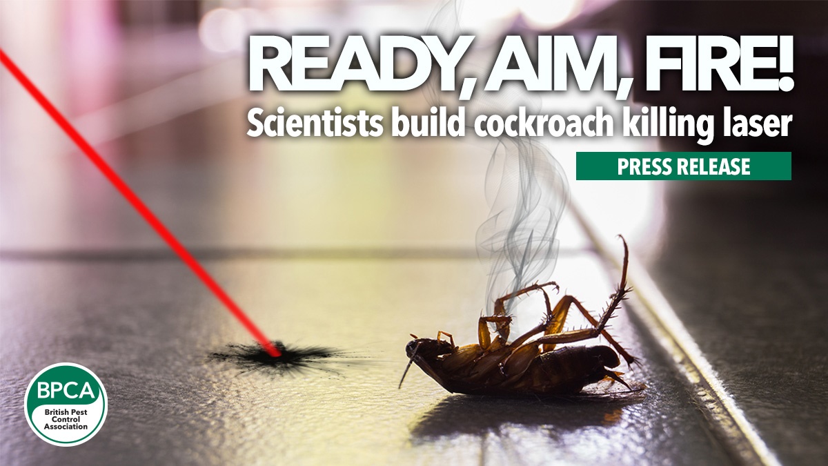 cockroach laser hero image2 cockroach laser hero image2